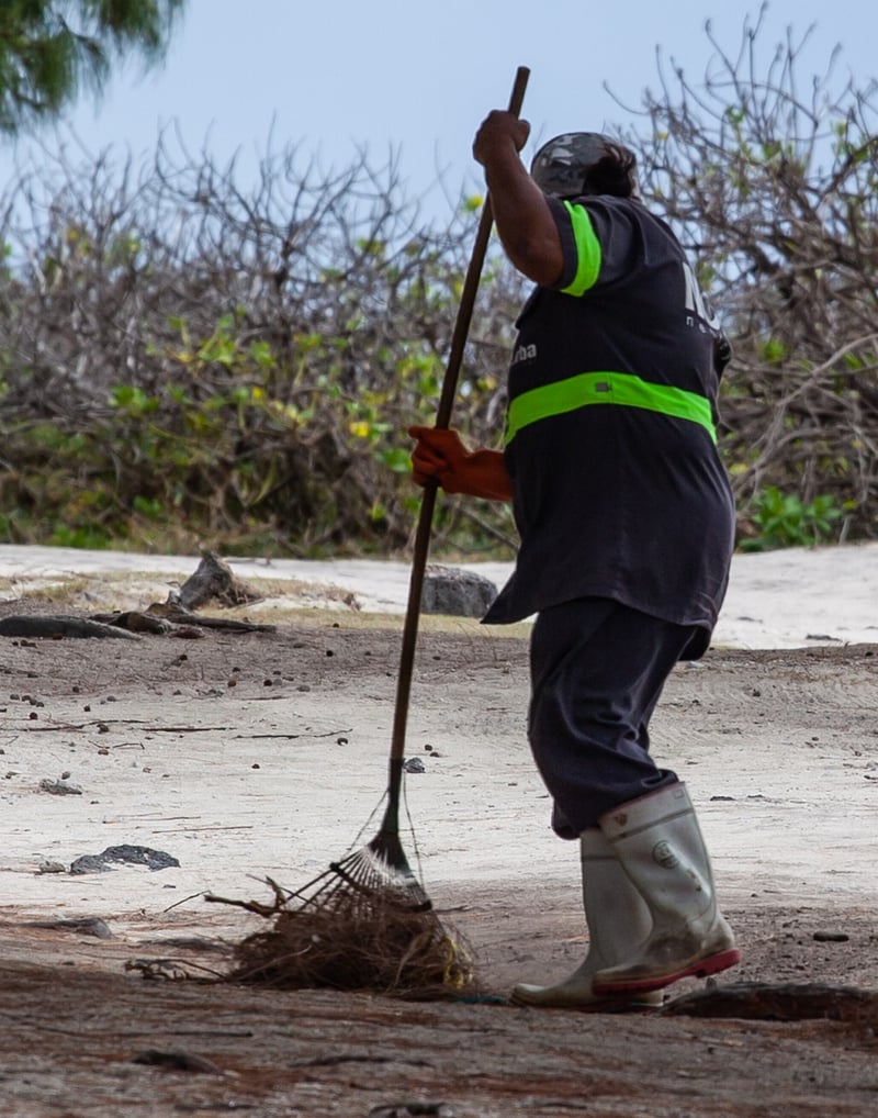 Sand Raking